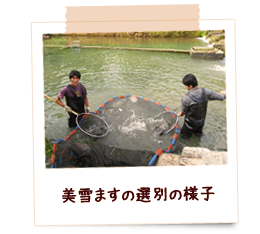 八ッ峰養魚｜新潟県南魚沼市で魚の養殖をメインに運営し、宿泊施設も完備しております。合宿などにご利用下さい。
